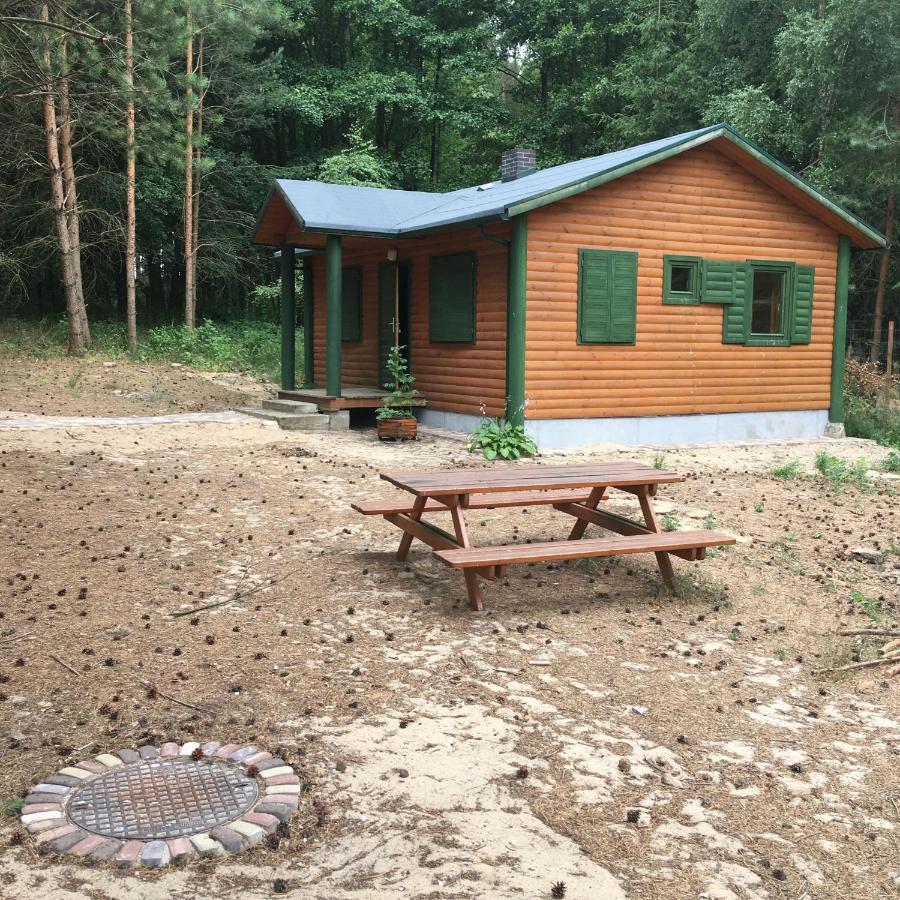 Agroturystyka Oaza Ciszy I Spokoju Miedzychod المظهر الخارجي الصورة