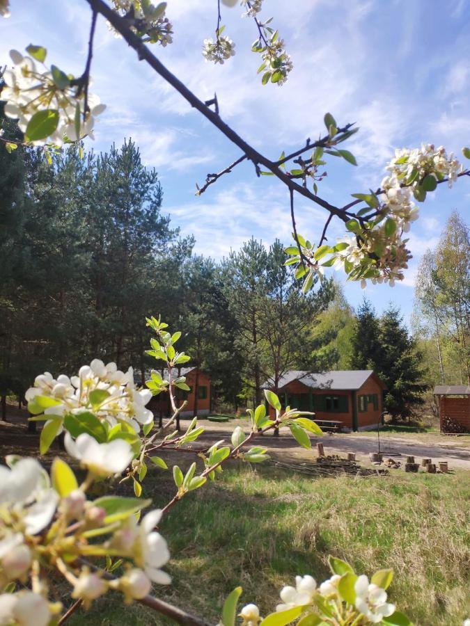 Agroturystyka Oaza Ciszy I Spokoju Miedzychod المظهر الخارجي الصورة