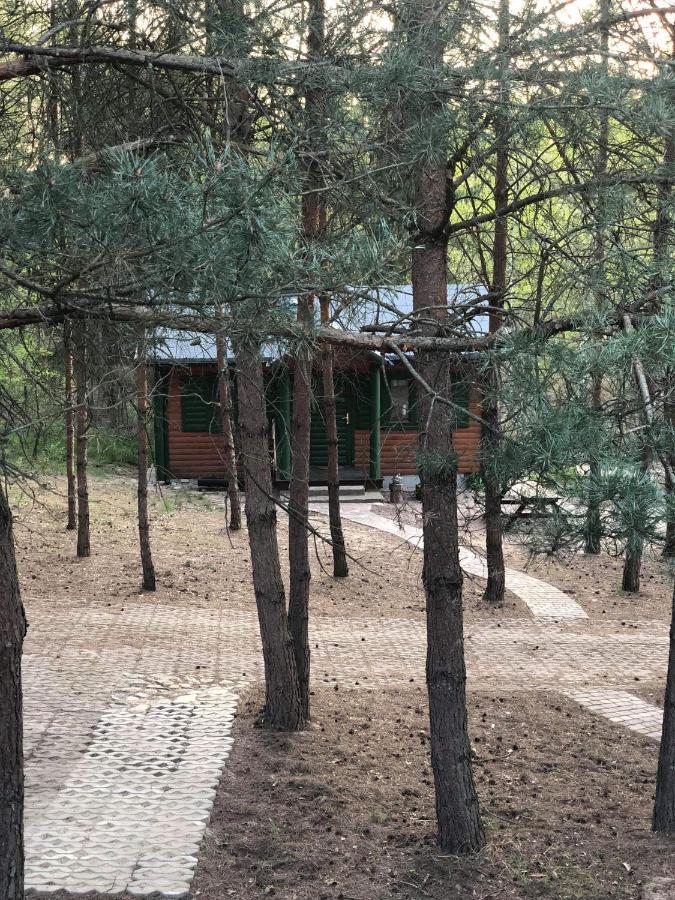 Agroturystyka Oaza Ciszy I Spokoju Miedzychod المظهر الخارجي الصورة